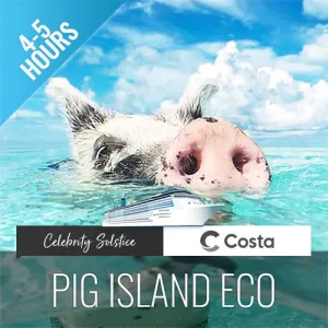 Amazing Pig Island Tour - Cruise Ship Tours