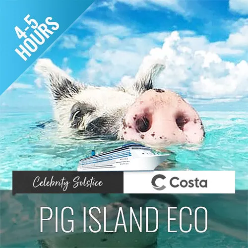 Amazing Pig Island Tour - Cruise Ship Tours
