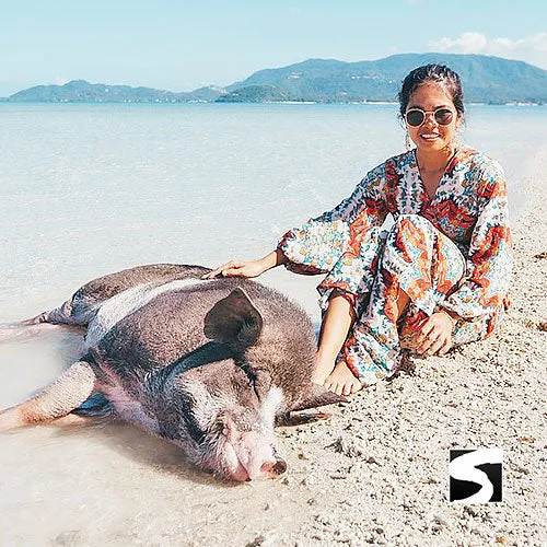 Amazing Pig Island Tour - Cruise Ship Tours
