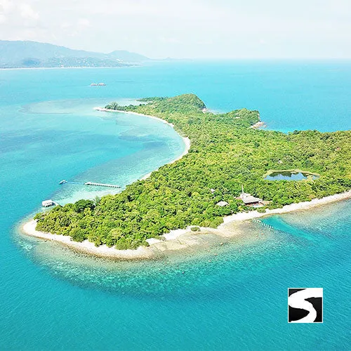 Amazing Pig Island Tour - Cruise Ship Tours