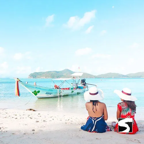 Amazing Pig Island Tour - Cruise Ship Tours