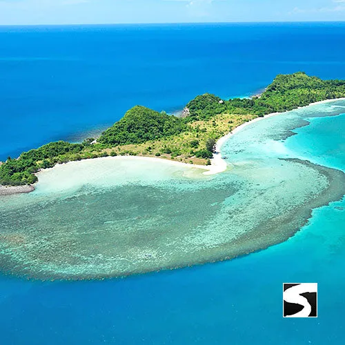 Amazing Pig Island Tour - Cruise Ship Tours