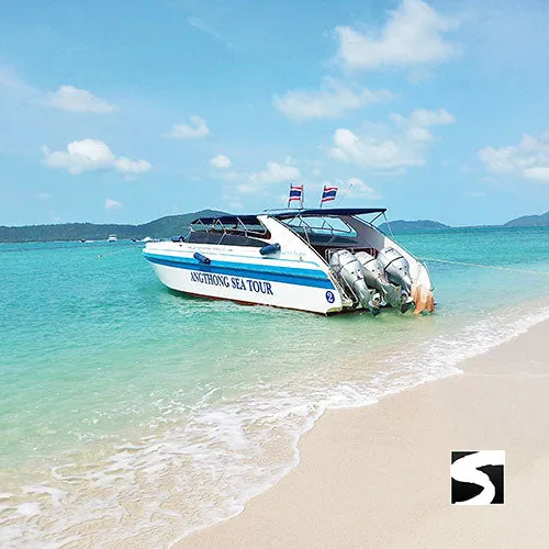 Amazing Pig Island Tour - Cruise Ship Tours