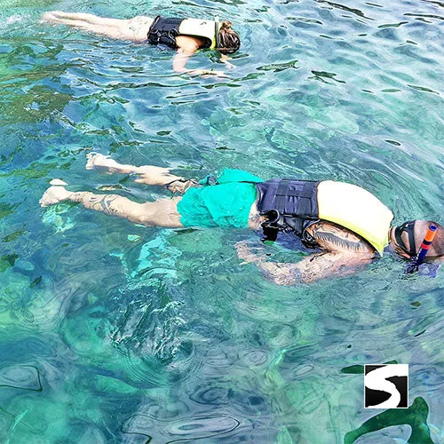 Amazing Pig Island Tour - Cruise Ship Tours
