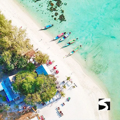 Amazing Pig Island Tour - Cruise Ship Tours