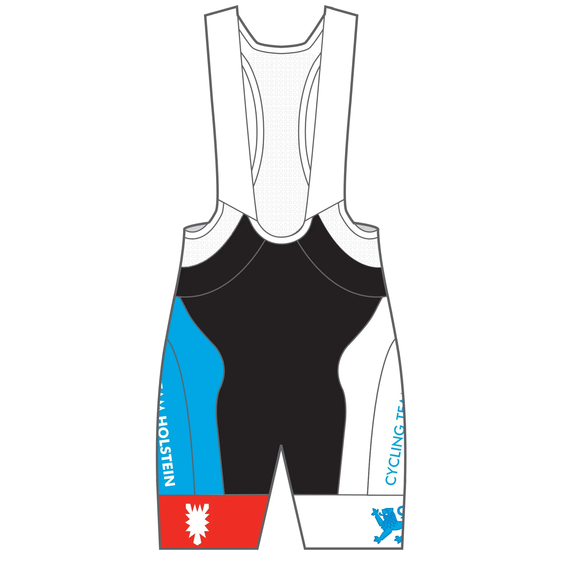 APEX  Pro Bib Shorts