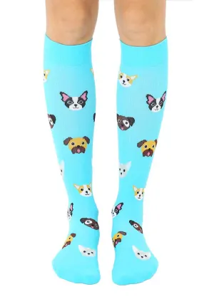 Dog Compression Socks