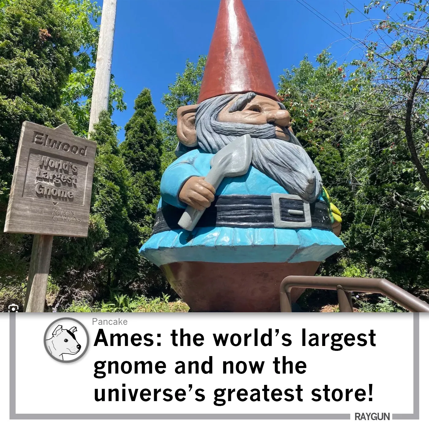 Elwood Gnome
