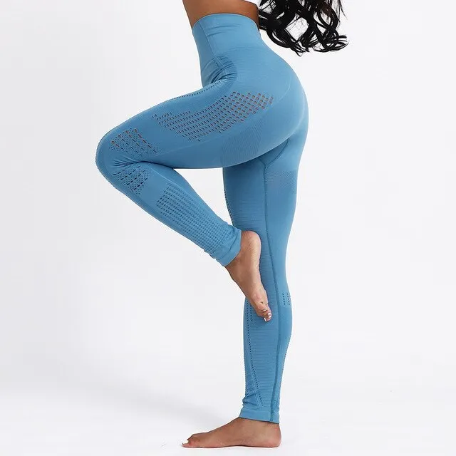 Hollow Tights