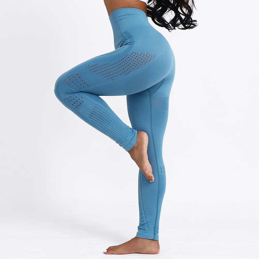 Hollow Tights