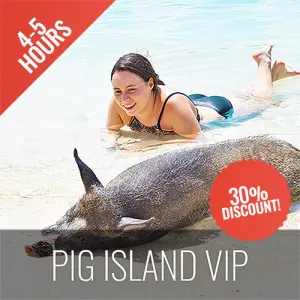 <b>26-02-25 **Hot Deal 30%**</b></br> Pig Island VIP Longtail Boat
