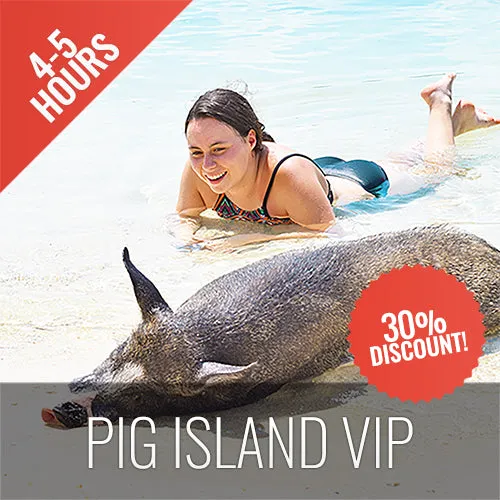 <b>26-02-25 **Hot Deal 30%**</b></br> Pig Island VIP Longtail Boat