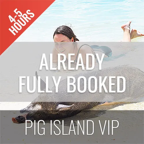 <b>26-02-25 **Hot Deal 30%**</b></br> Pig Island VIP Longtail Boat