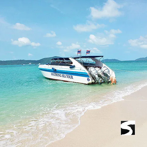 Pig Island Speedboat Tour - Cruise Ship Tours - Last Minute