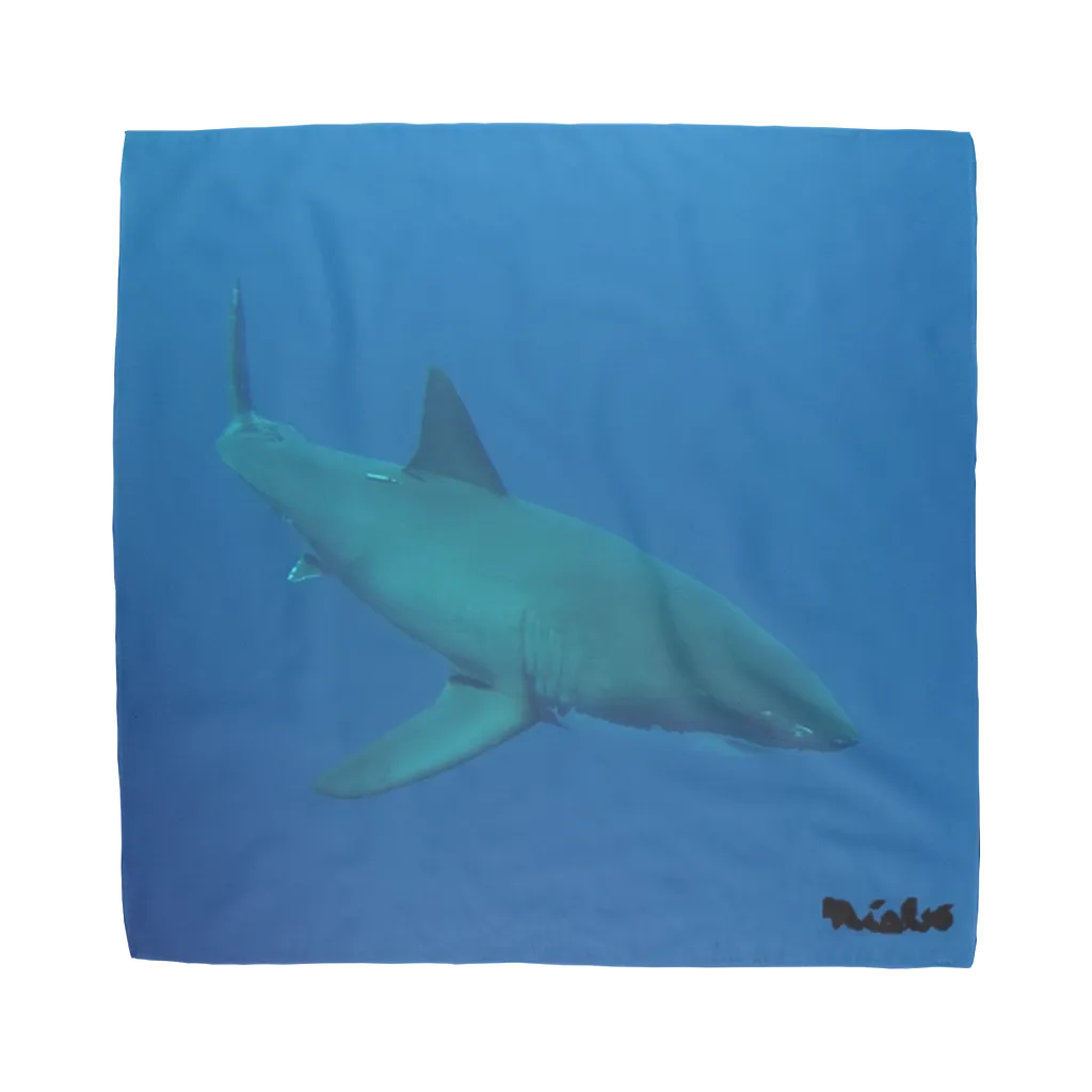 Sublimation Bandana - Candy the Great White Shark Collection