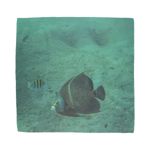 Sublimation Bandana - Reef Fish Collection - Angel