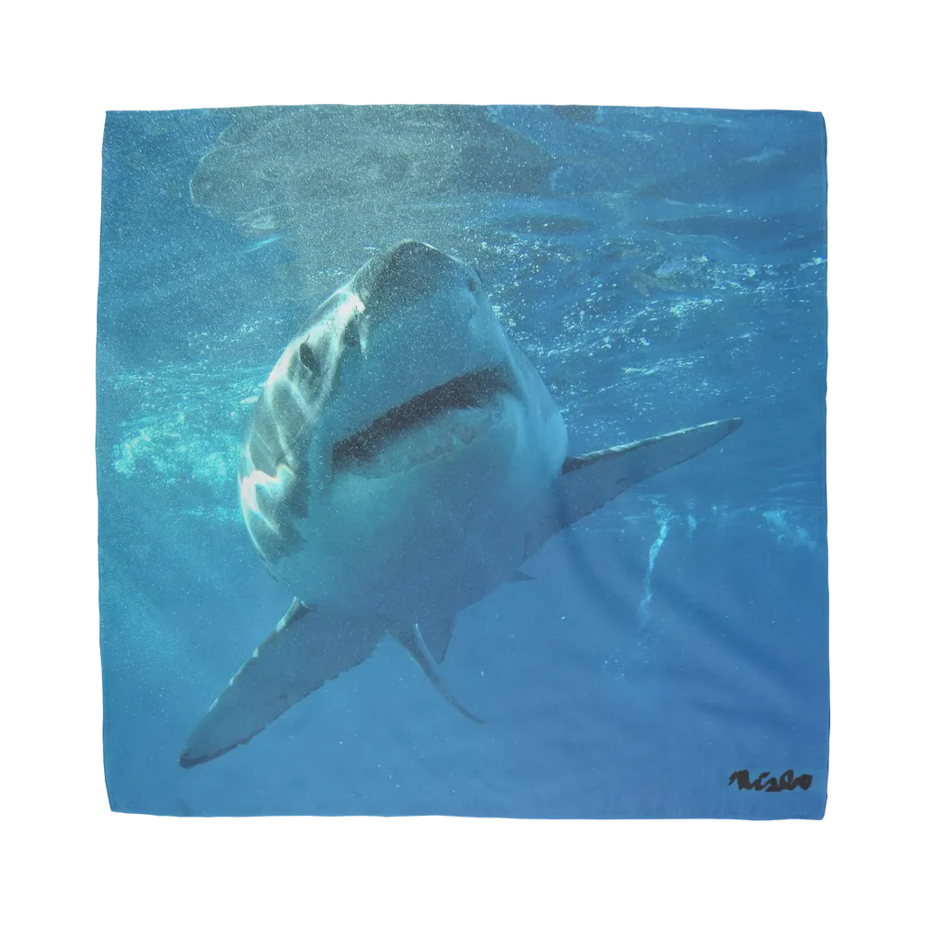 Sublimation Bandana - Surrounded by Sharks Collection