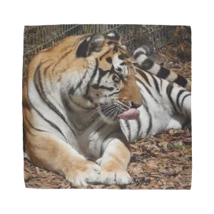 Sublimation Bandana - Toby the Tiger Collection